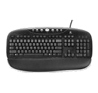 Teclado LOGITECH Internet Pro USB Keyboard  negro SPB